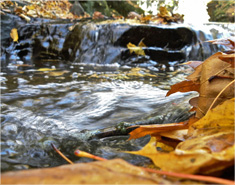 云呼叫中心系统